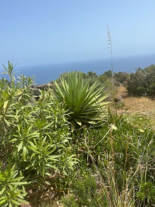 Villa Dammuso Masdar Al Sorgere Del Sole à Pantelleria Extérieur photo