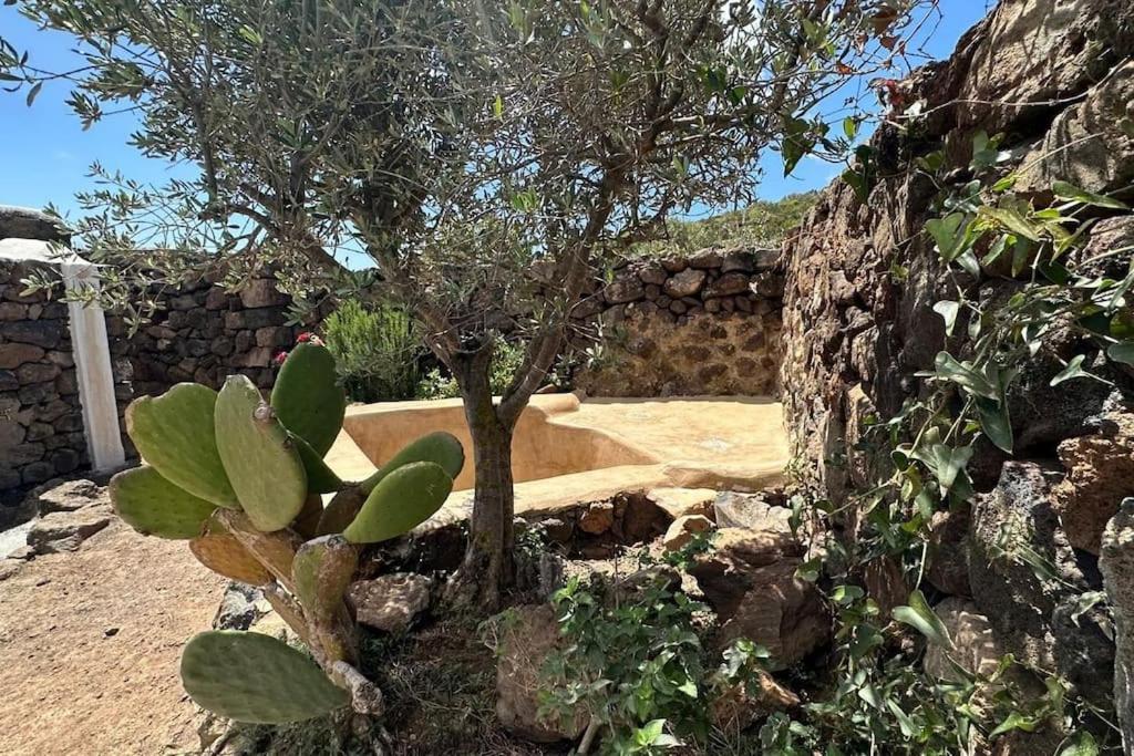 Villa Dammuso Masdar Al Sorgere Del Sole à Pantelleria Extérieur photo